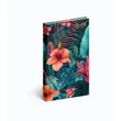 Kép 18/18 - hibiszkusz