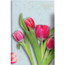 egyedi tanári zsebkönyv